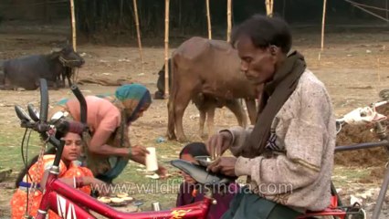 Bihar-Sonepur Fair-hdv-270-21