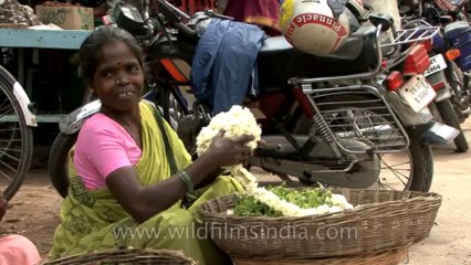 Chennai-hdv-343-16