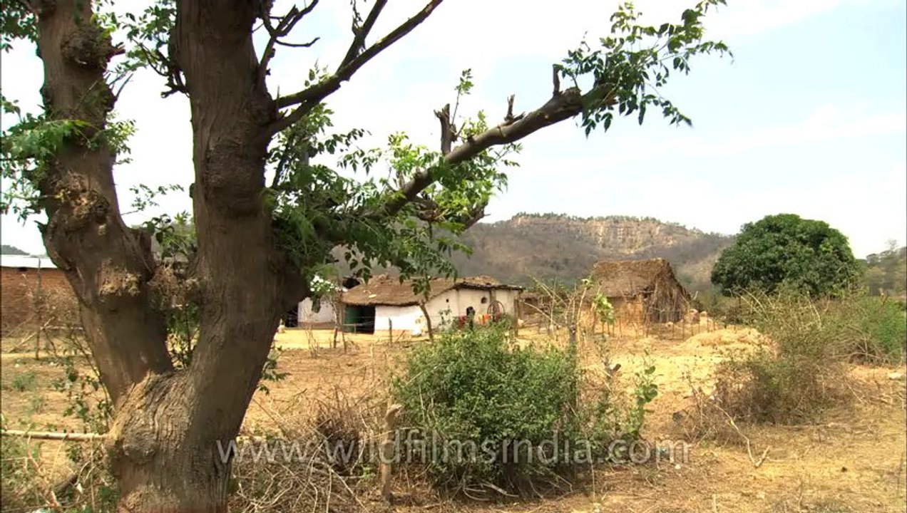 Corbett-hdc-93-12