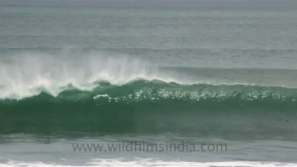 Indonesia-Bali-Surf-5