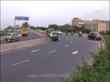 Delhi-AIIMS flyover-2