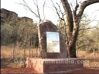 delhi-dillihaat-12-29