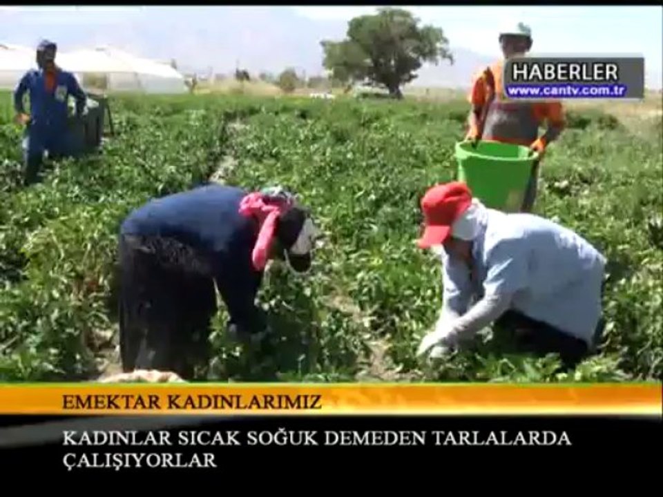 22.08.2013.CANTV24 HABERLER