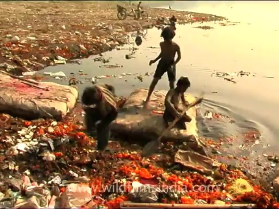 Delhi-Yamuna-1