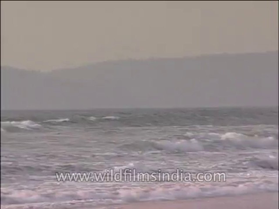 goa-seascape-9