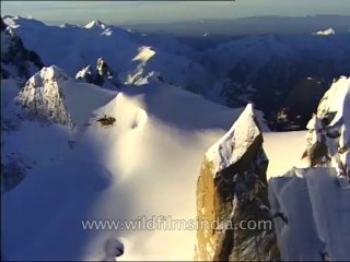 Heli-skiing-Beta SP-3-19