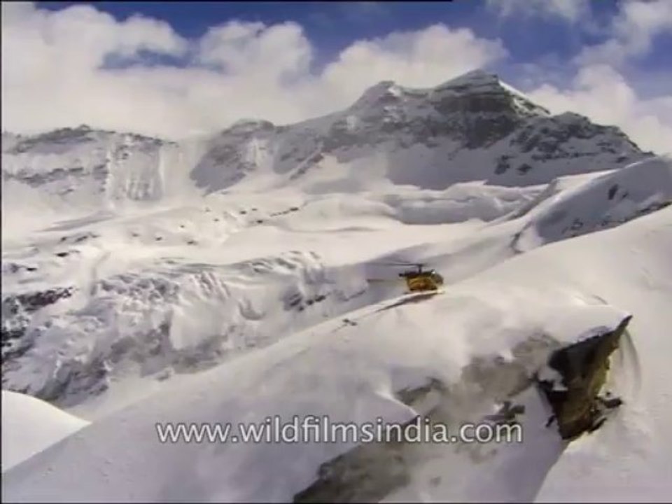 Heli-skiing-Beta SP-3-9