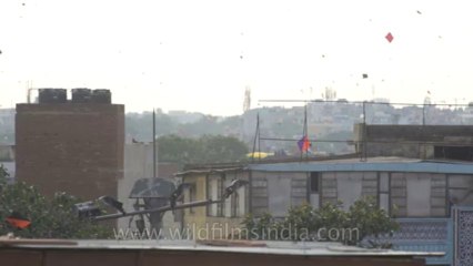 Independence day-jama masjid-4