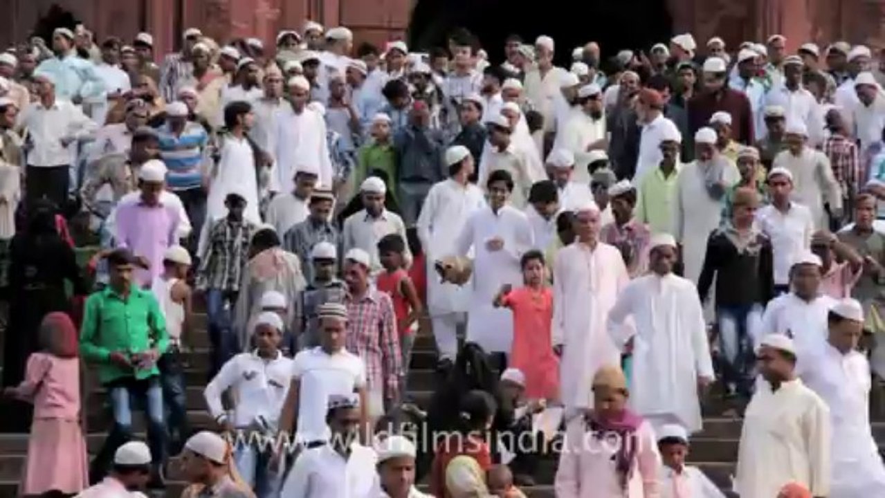 Jama Majid-1