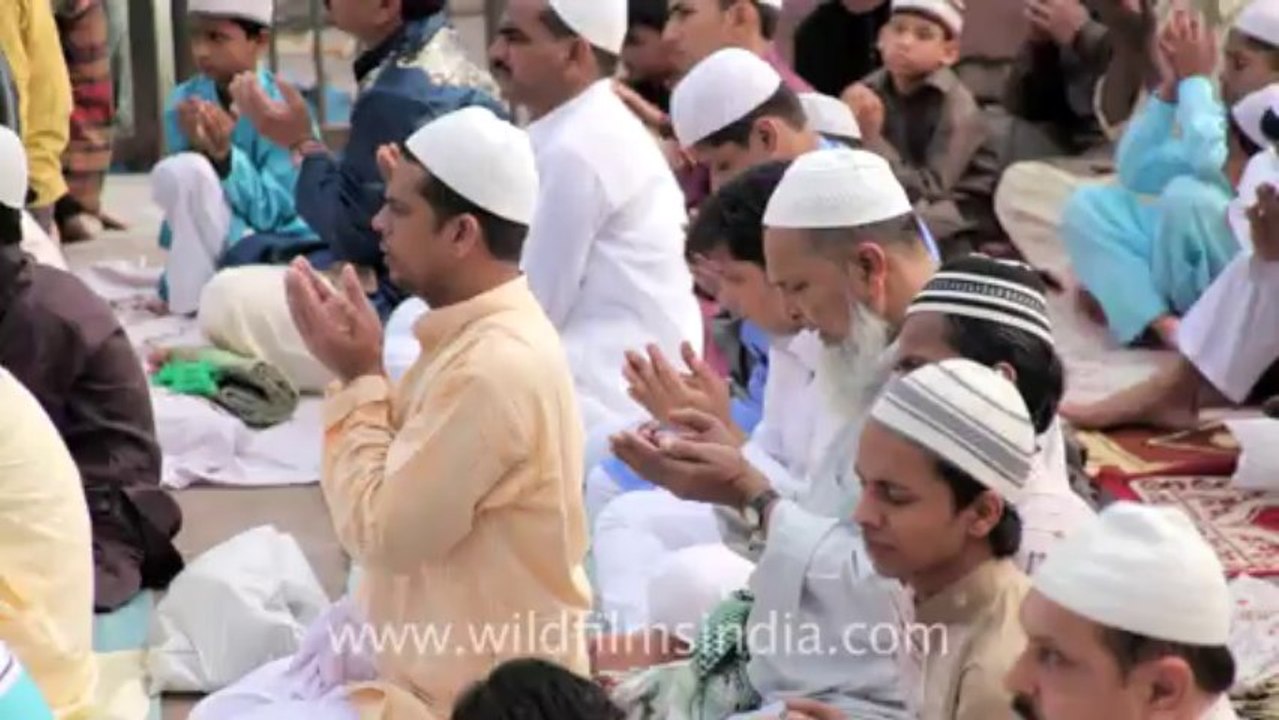 Jama Majid-18