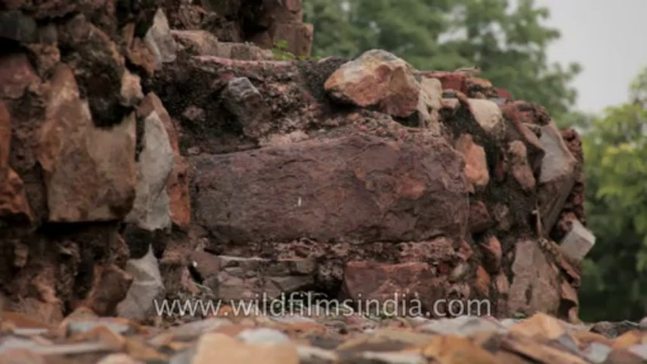 Qutub Minar-17