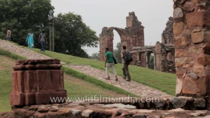 Qutub Minar-28