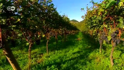 جولة في منطقة ترنتينو الإيطالية | يوروماكس