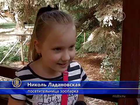 С удивительной жизнью муравьев знакомят в зоопарке