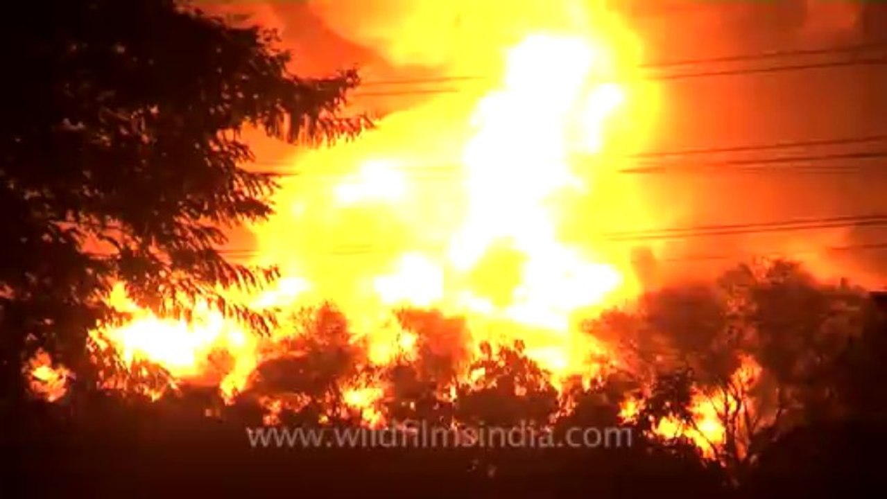 Jaipur Oil Fire-5