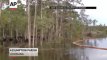 Raw Louisiana Sinkhole Swallows Giant Trees! Impressive!