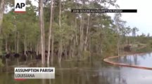 Raw Louisiana Sinkhole Swallows Giant Trees! Impressive!