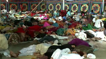 Fish remedy-hyderabad-7