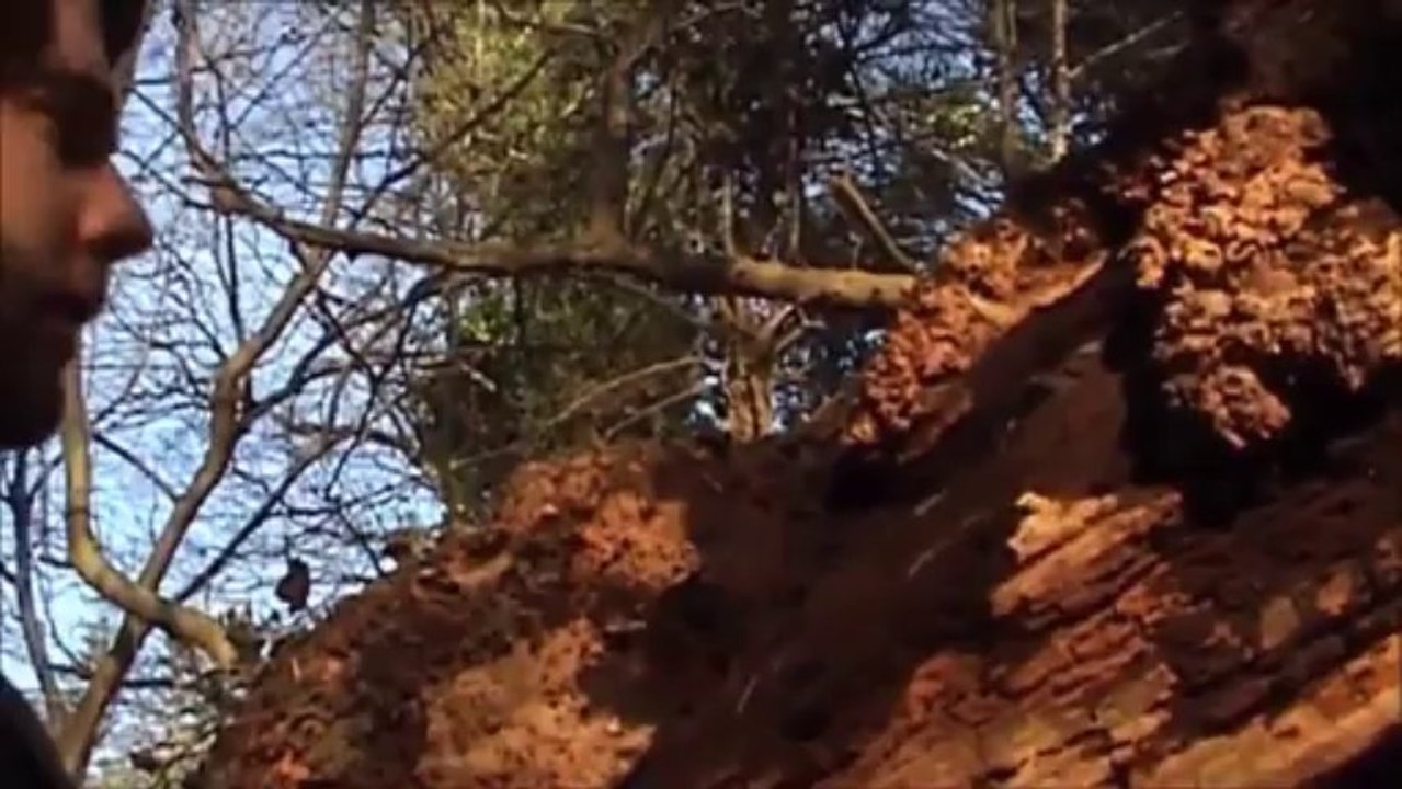 Rath Lugh Fall Of The Fianna Warriors