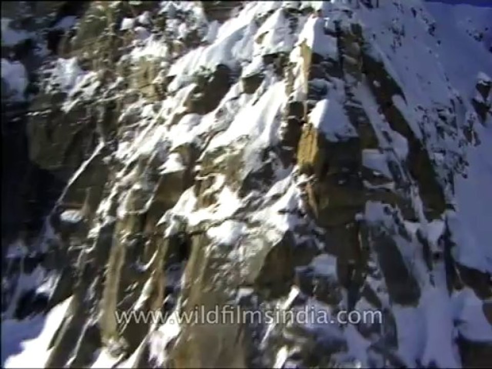 Heli-skiing-Beta SP-3-35