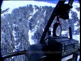 Heli-skiing-Beta SP-3-40