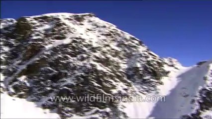 Heli-skiing-Beta SP-3-45
