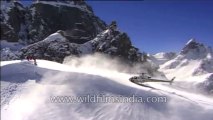 Heli-skiing-Beta SP-3-46