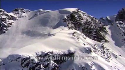 Heli-skiing-Beta SP-3-47