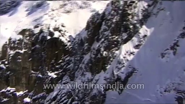 Heli-skiing-Beta SP-3-49