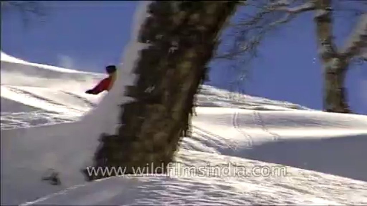 Heli-skiing-Beta SP-3-51