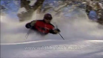 Heli-skiing-Beta SP-3-52