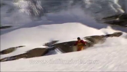 Heli-skiing-Beta SP-7-11