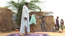 Nigeria: des milliers de réfugiés fuient vers le Niger