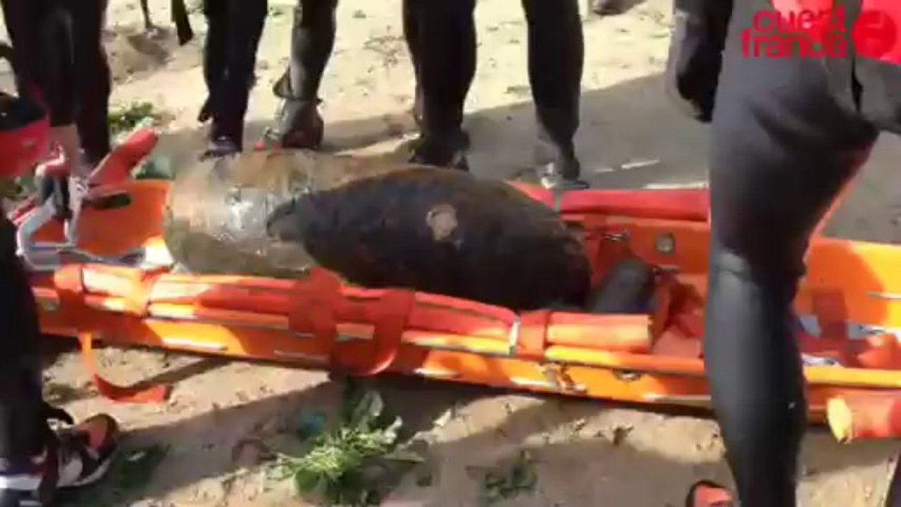 Désamorçage d'une bombe à Clécy - 136 kg au total dont 65 d'explosifs