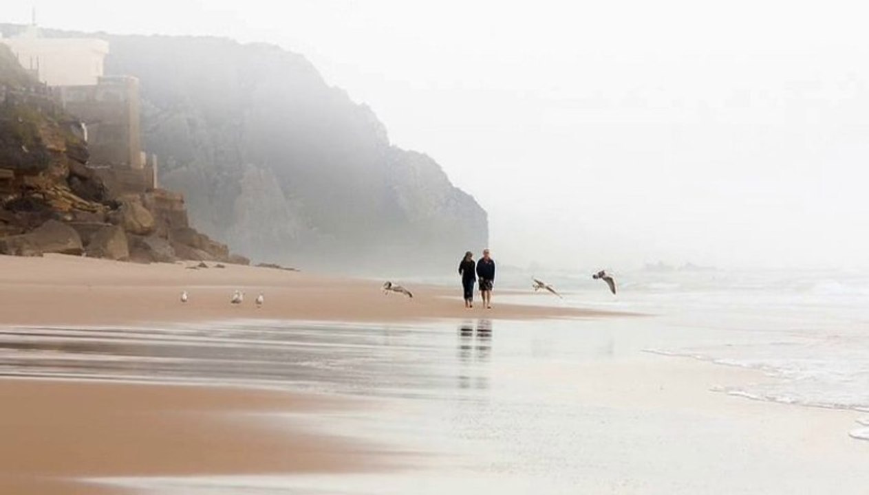 Melihat Gülses - -   Bir fırtına tuttu a yarim bizi deryaya kardı