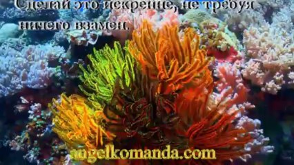 Искренне желаю тебе Счастья!!!