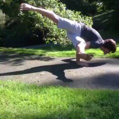 Capoeira/Yoga @ Highland Park