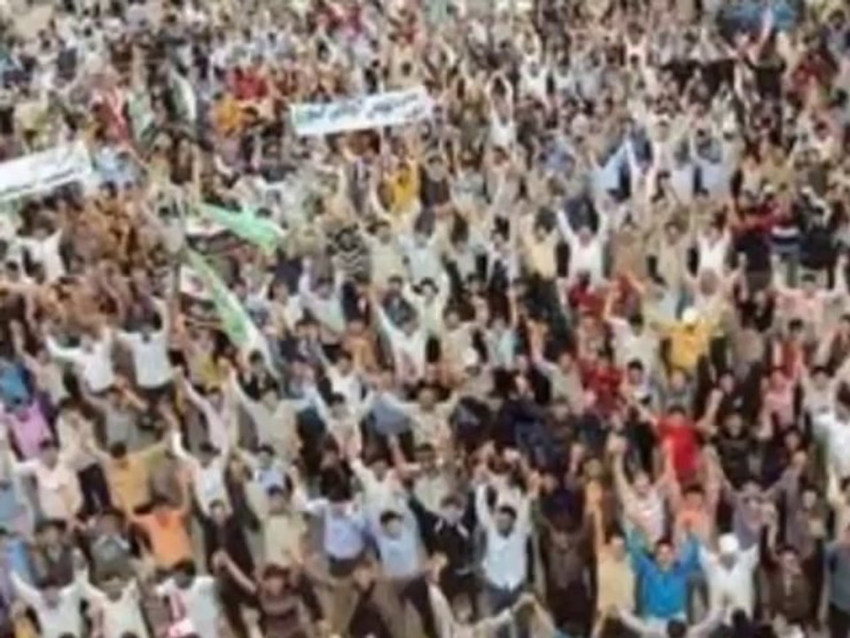 SERAP TAMAY - ZULMET