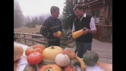 Permaculture, l'art de vivre avec la nature