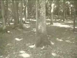 Policiers contre voleurs