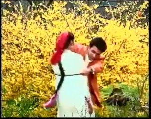 Ab Dava Ki Jarurat Nahin Full Song _ Lal Dupatta Malmal Ka _ Sahil, Veverly Wheeler