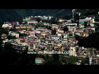 Crowded Landour bazar could one day go down the hill!