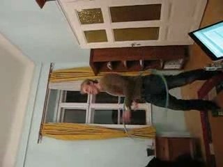 Concours de Hool-Hoop n°1