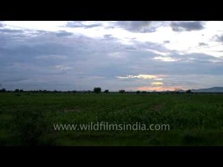 An Orange Aravalli Sunset: In Sonkhaliya