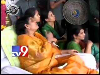 Politics over Telangana - Journalist Diary