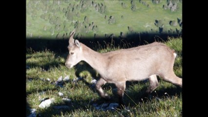 Le Grand Veymont (Massif du Vercors)