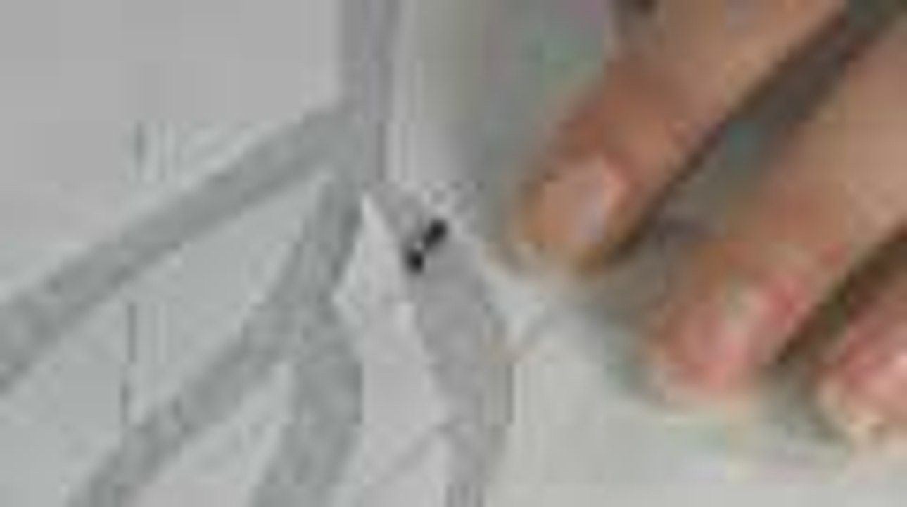 How to Bead a Motif with a Template