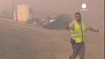 800 pompiers portugais mobilisés contre les feux de forêts