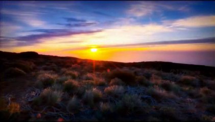 Daniel Darc - Élégie #2