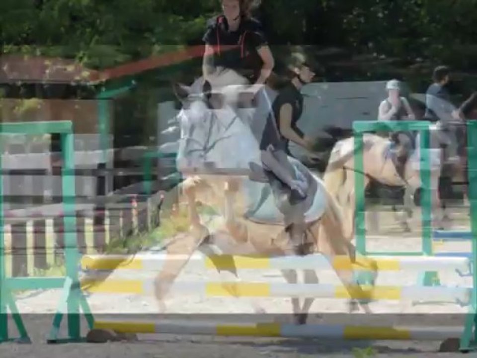 tout ton parcours célia